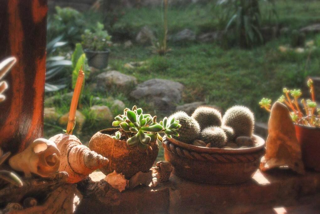 Hostel Casa 4 Estaciones, Coliving & Nature San Cristobal de las Casas