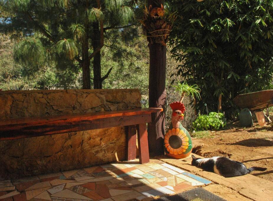 Hostel Casa 4 Estaciones, Coliving & Nature *