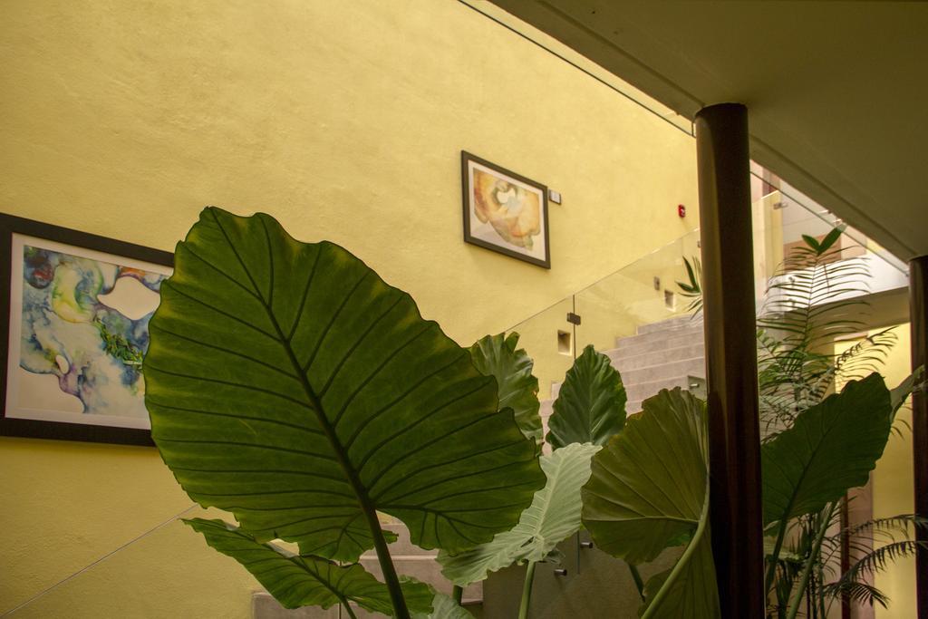 Monte Boutique & Galeria Hotel