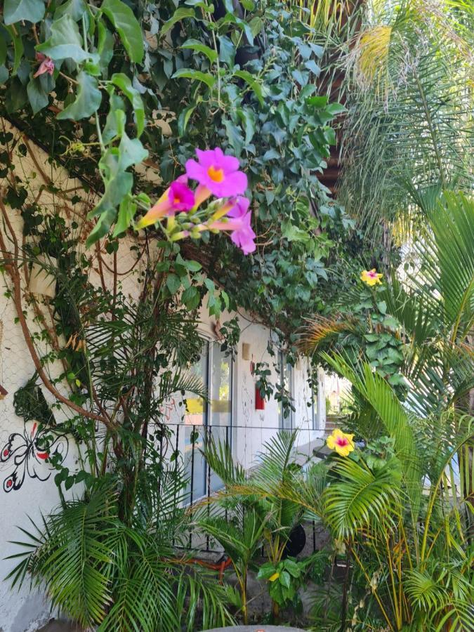 Mariposas 4* Atlixco