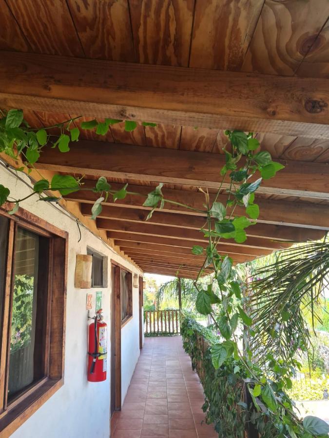Mariposas Hotel 4*