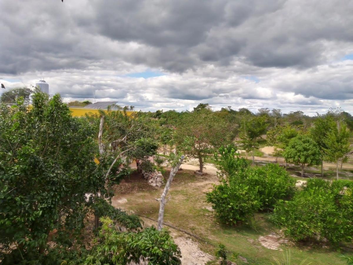Ecohotel Shalom Lodge Valladolid (Yucatan)