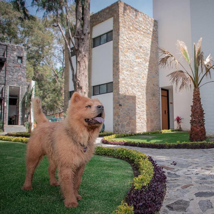 Boutique Camino Del Bosque By Rotamundos 5* Cholula