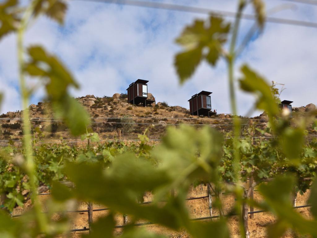 Encuentro Guadalupe Hotel Valle de Guadalupe