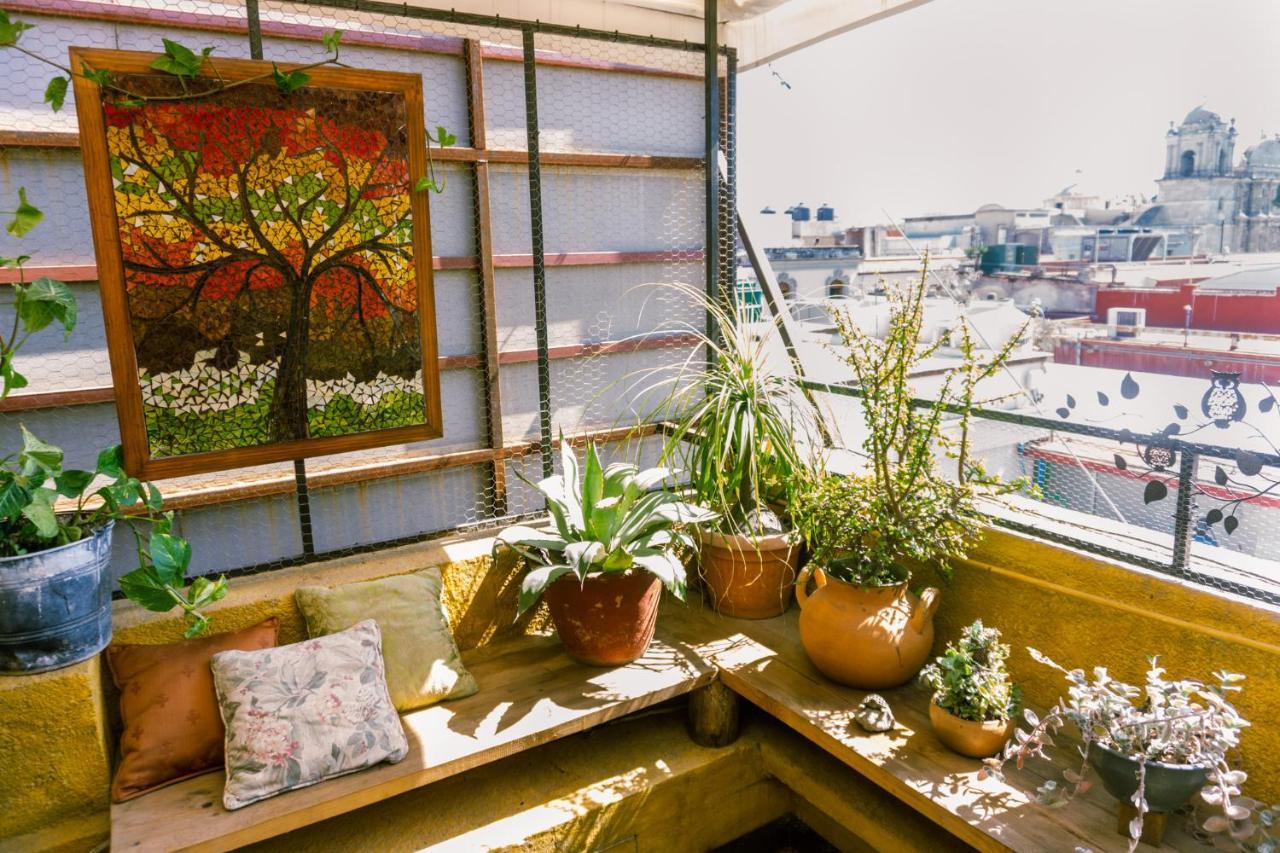 Boutique Casa Cid De Leon Oaxaca