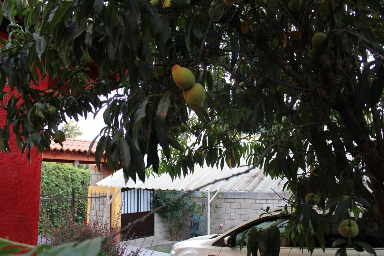 Betos Departamentos *