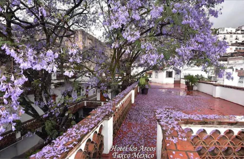 Arcos Hotel 3*