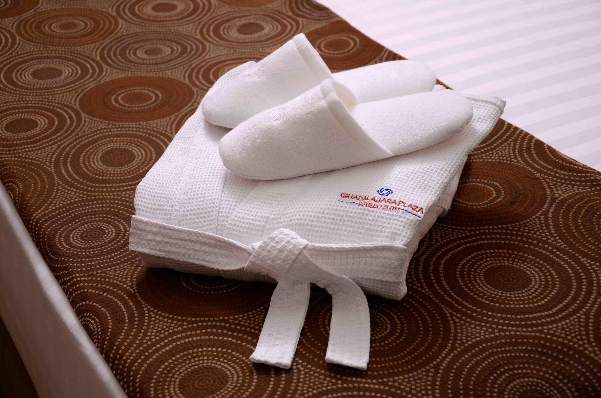 Plaza Expo Hotel Guadalajara