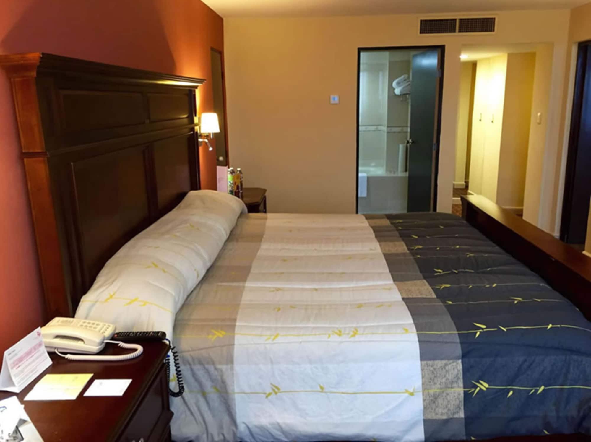 Real Plaza Hotel San Luis Potosi
