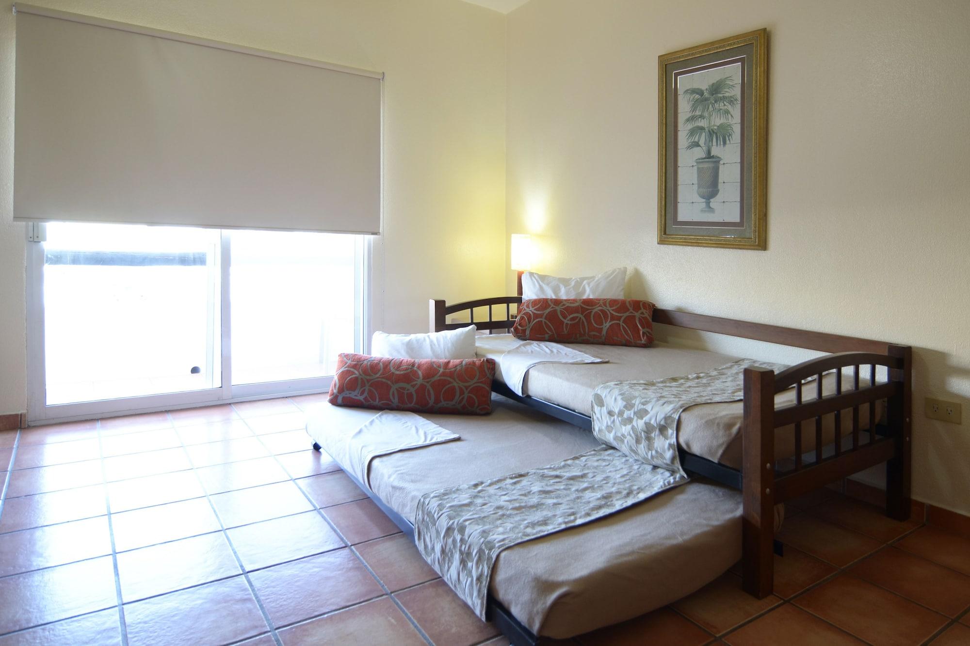 Palmas San Jose del Cabo