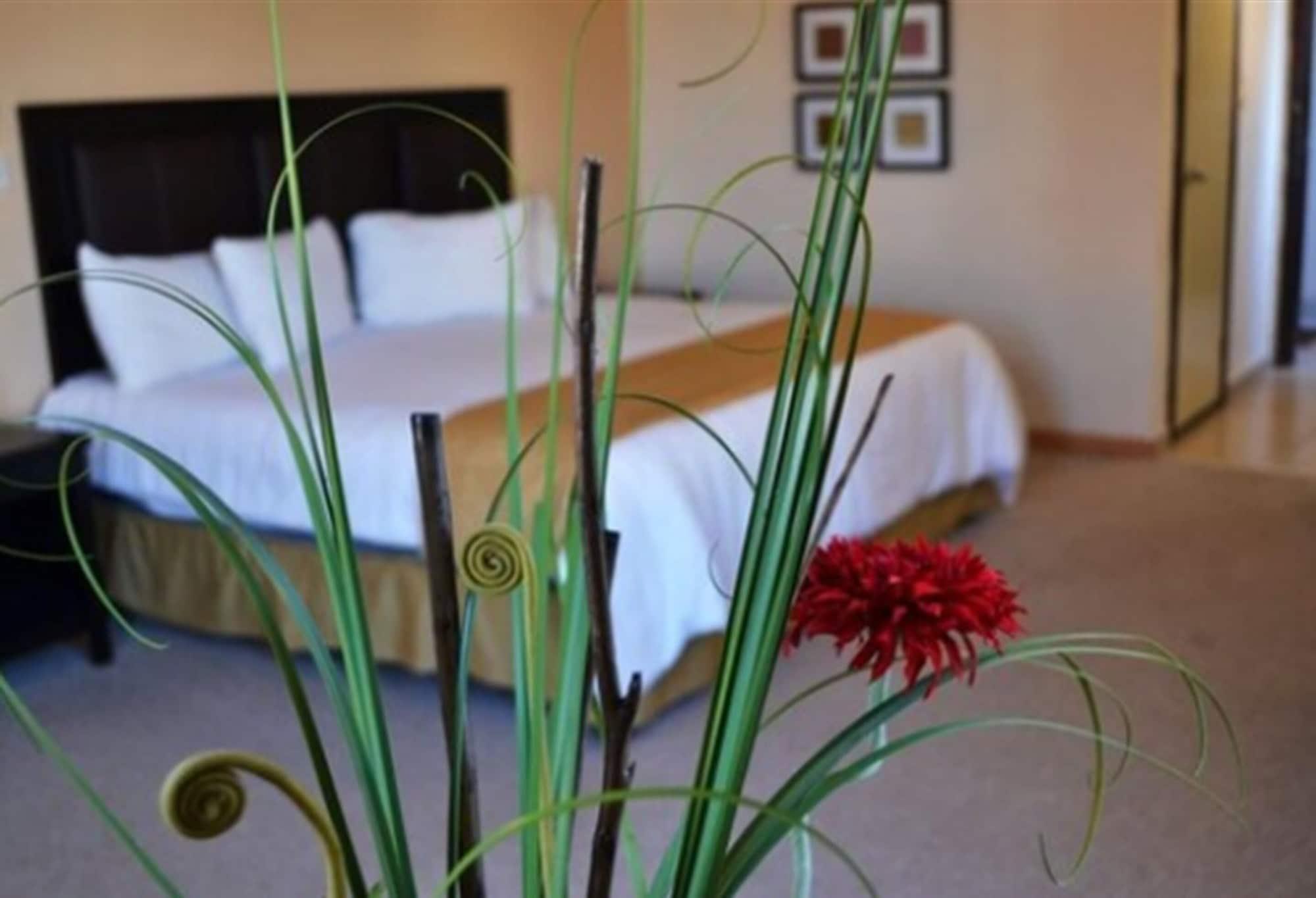 El Dorado Hotel 4*
