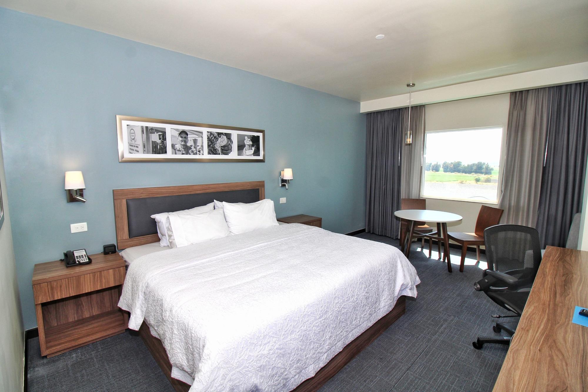 Hampton & Suites By Hilton Bajio 3* Salamanca
