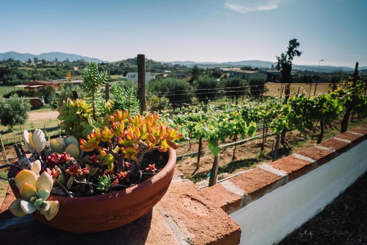 Villa Quinta Sofia (adults Only) Valle de Guadalupe