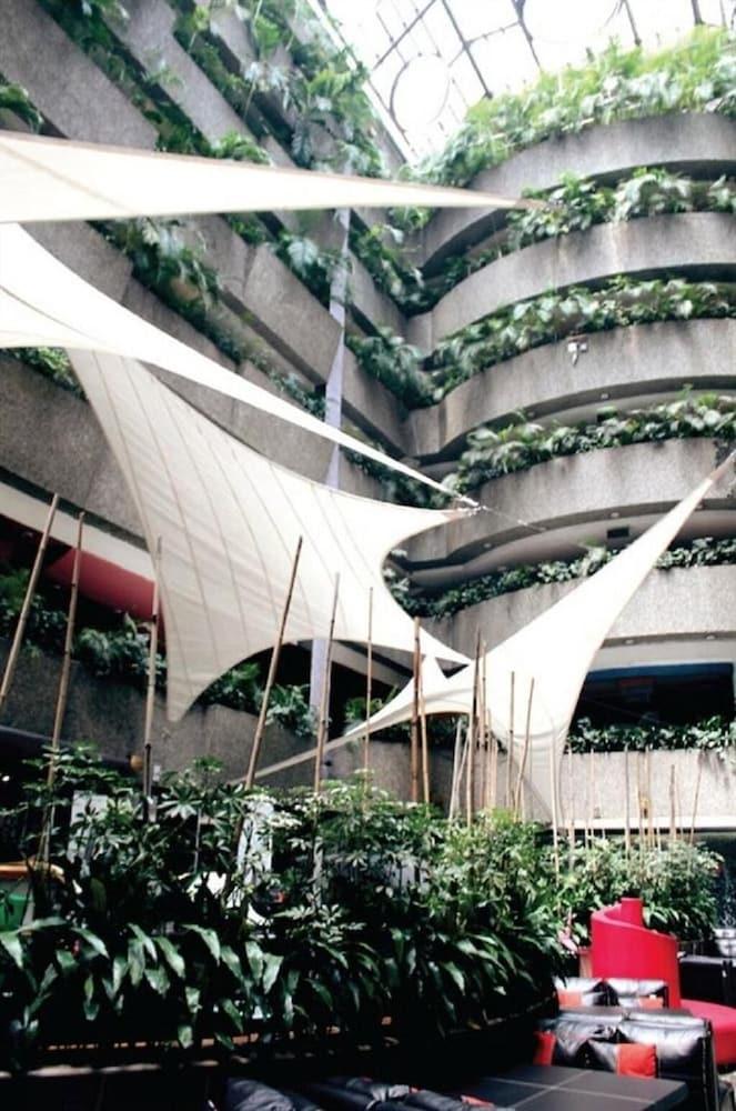 Real Del Sur Mexico City