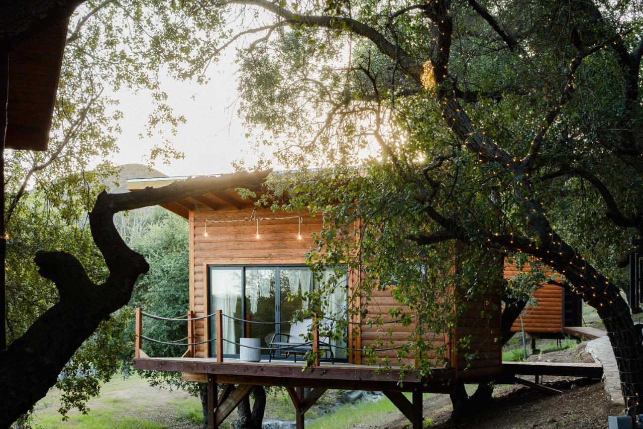 Hotel Boskenvid Boutique, Skypool Valle de Guadalupe