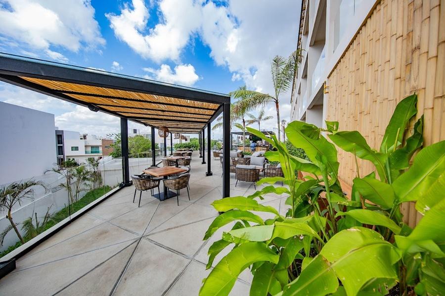 Hive By G Cancun