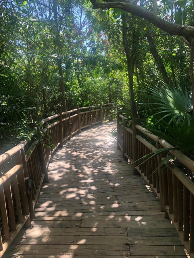 Grand Mayan At Riviera Maya *