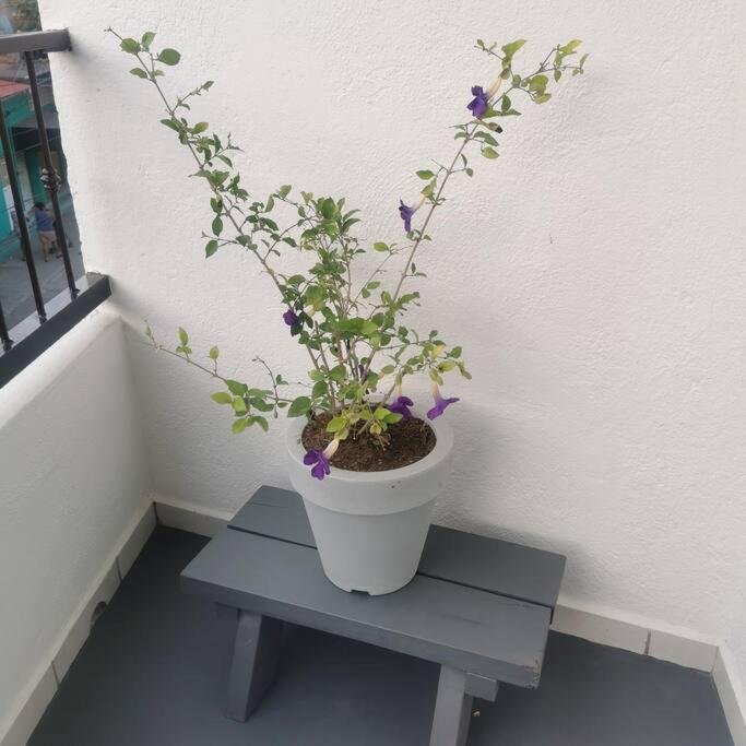 Apartment Lovely With Balcony Ac & Wi-fi, Minutes From Downtown!