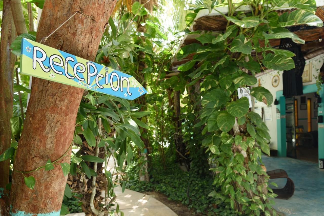 Tiburon Hotel Isla Holbox