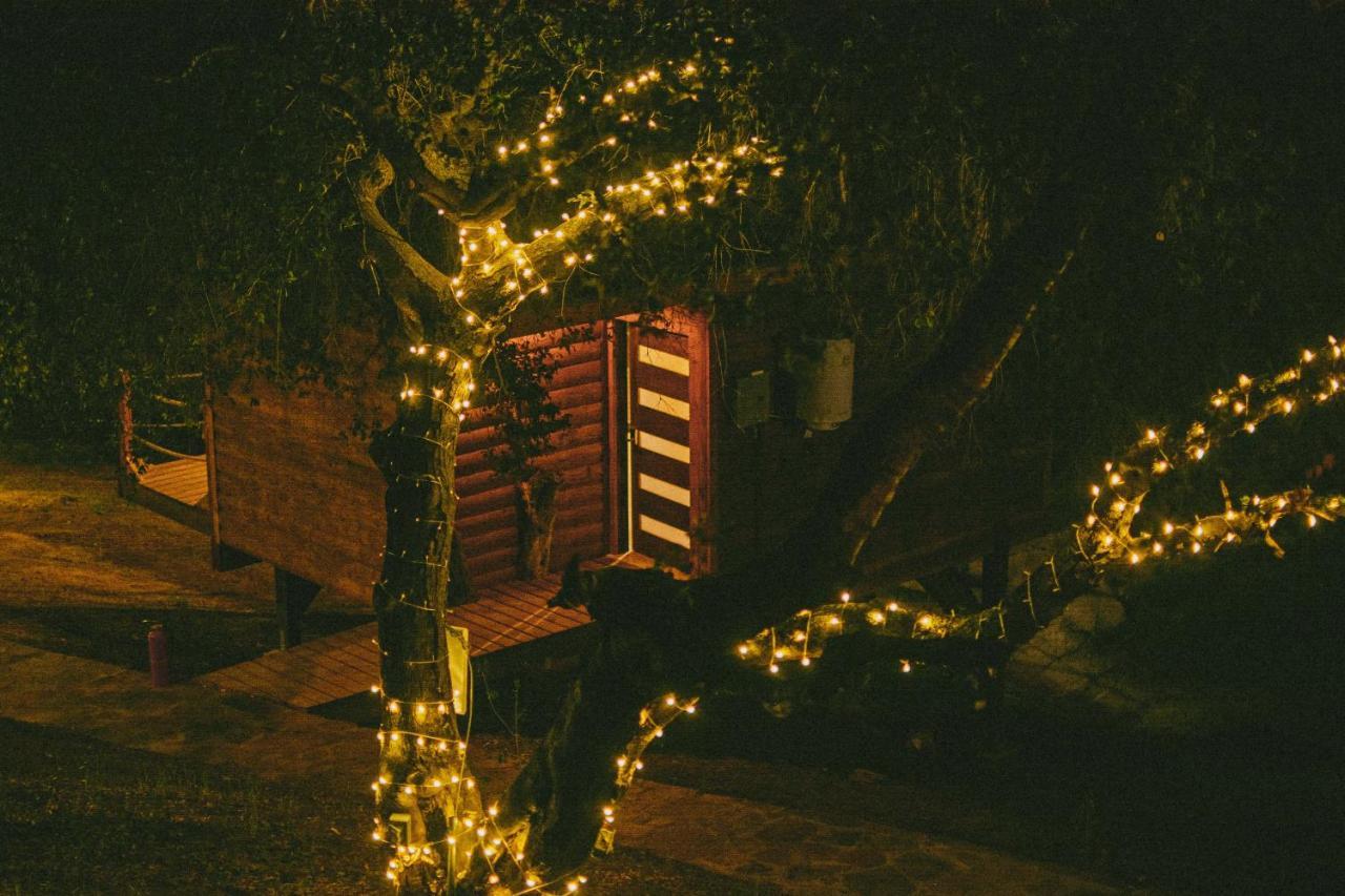 Boskenvid Boutique, Skypool Hotel Valle de Guadalupe