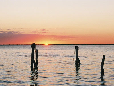 Palapas Gonzas Isla Holbox