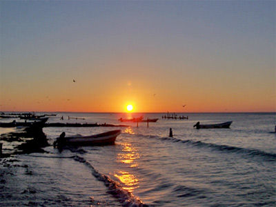 Palapas Gonzas 3* Isla Holbox