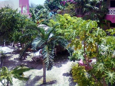 Arcos Isla Holbox