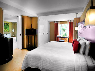 Club Med Ixtapa Pacific Hotel