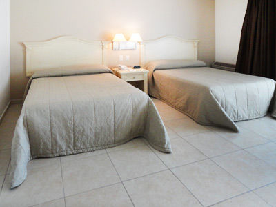 Real De Minas Bajio 4*