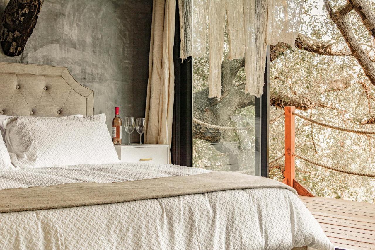 Boskenvid Boutique, Skypool Valle de Guadalupe