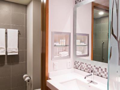 Hampton & By Hilton Paraiso