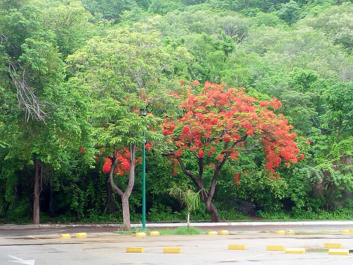 Camino Al Mar