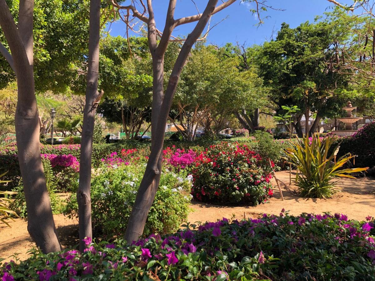 Hotel Pedregal - Marina And Downtown Cabo San Lucas