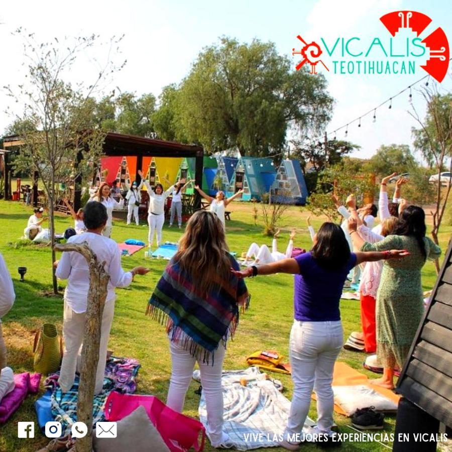 Vicalis 3*