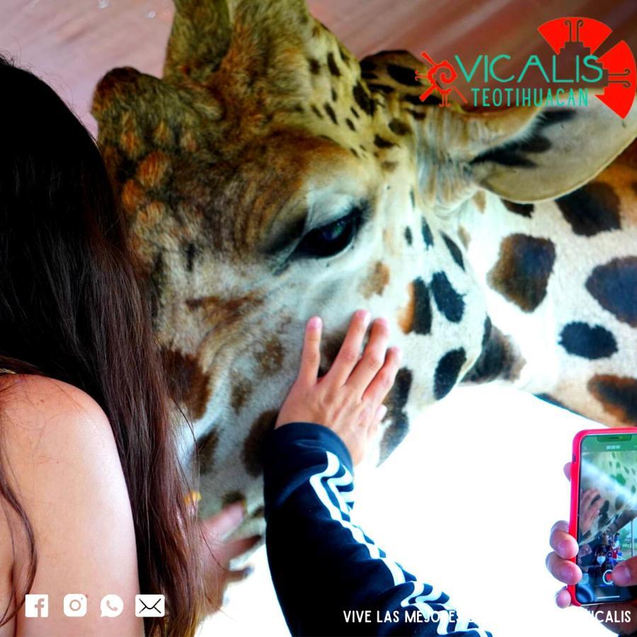 Hotel Vicalis 3*