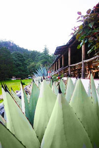 Cusarare River Sierra Hotel 3*