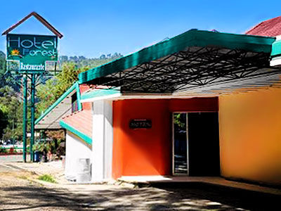 Forest Huauchinango