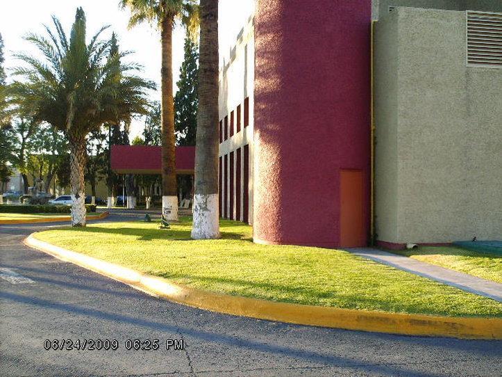 Casa Grande Hotel 5*