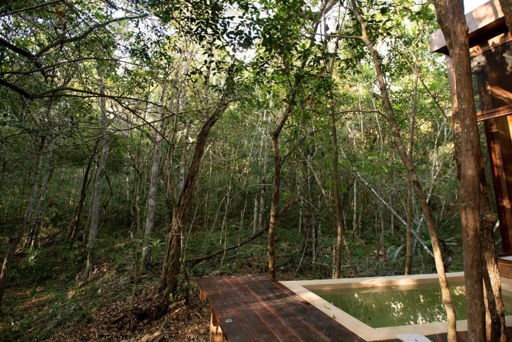 Ojo De Arbol, Boutique In The Real Jungle