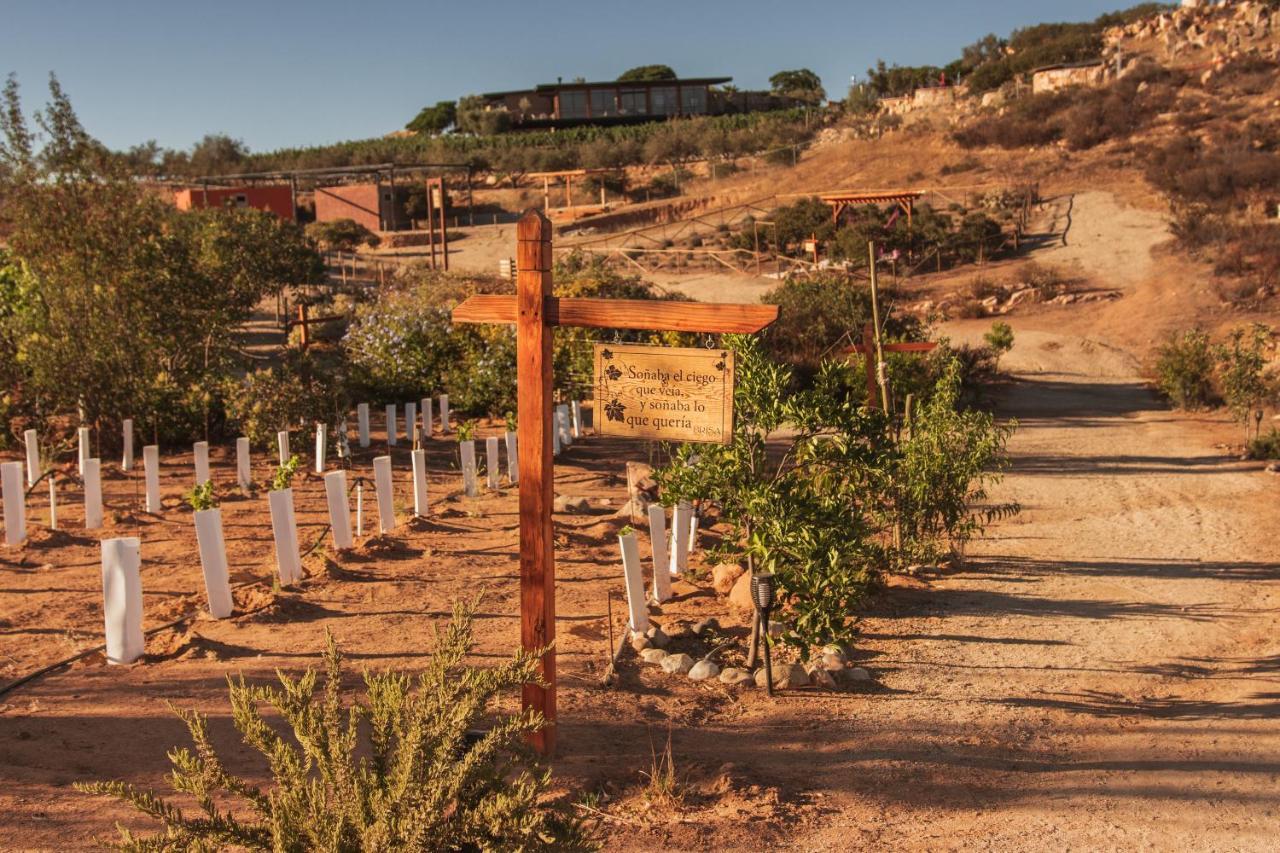 Brisa Del Valle Boutique 2* Valle de Guadalupe