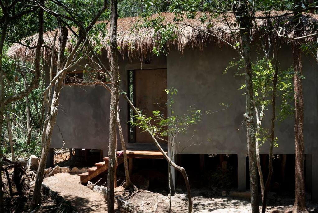 Ojo De Arbol, Boutique In The Real Jungle Villa