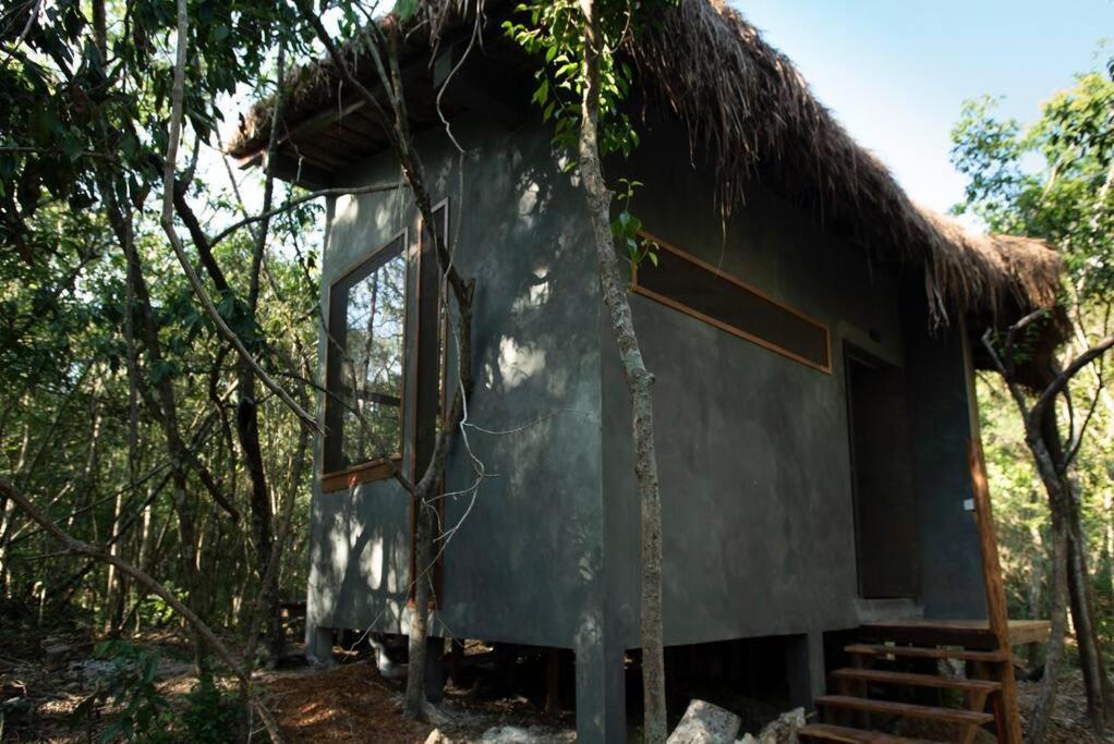 Ojo De Arbol, Boutique In The Real Jungle Villa Tulum