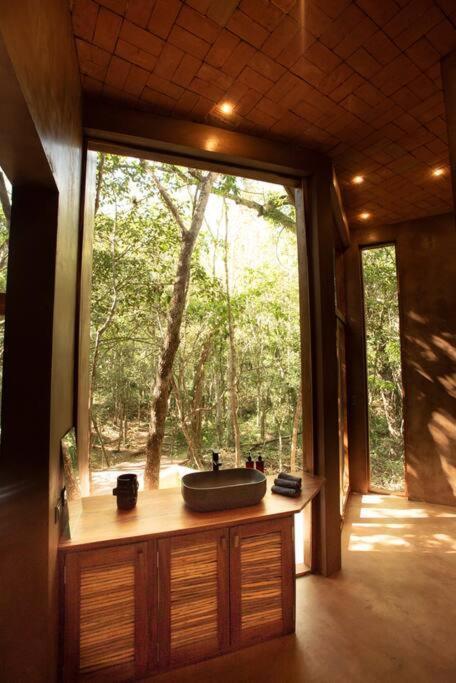 Ojo De Arbol, Boutique In The Real Jungle