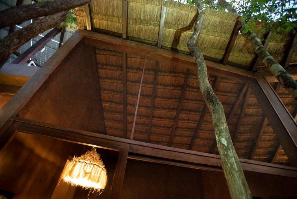 Ojo De Arbol, Boutique In The Real Jungle