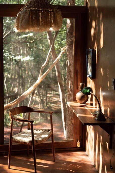 Ojo De Arbol, Boutique In The Real Jungle