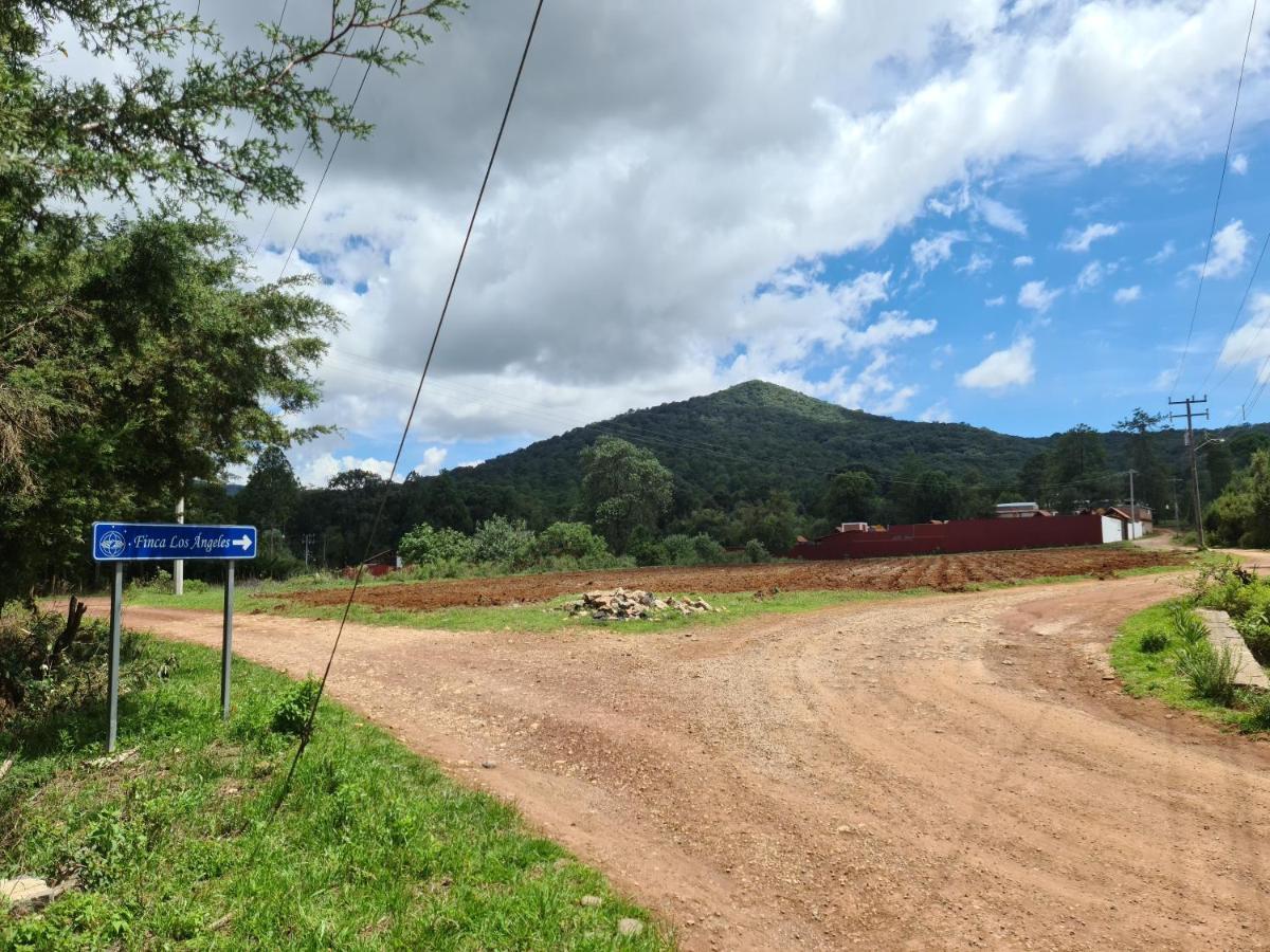 Angeles Hospederia & Sociales Inn