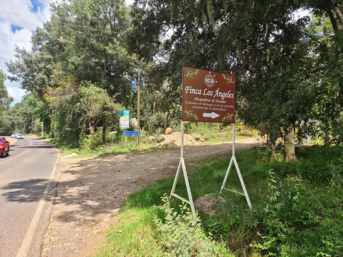Angeles Hospederia & Sociales Huasca de Ocampo