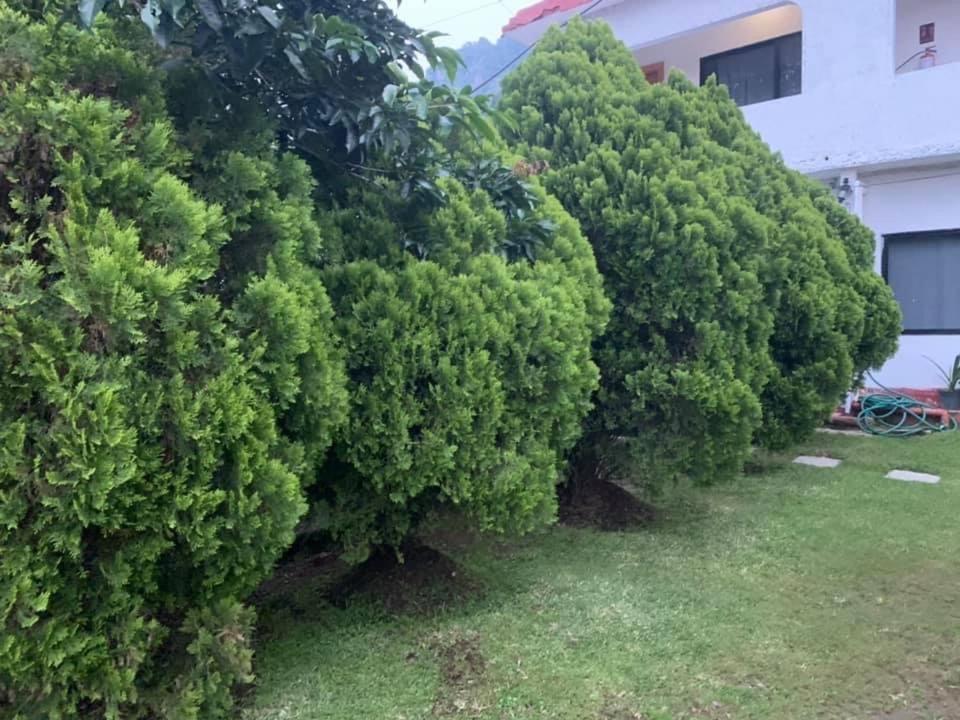 Puerto Villamar 3*