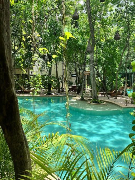 Apartment Jungle View 2bed 2bath Condo/ Wi-fi/ Pool/ Gym