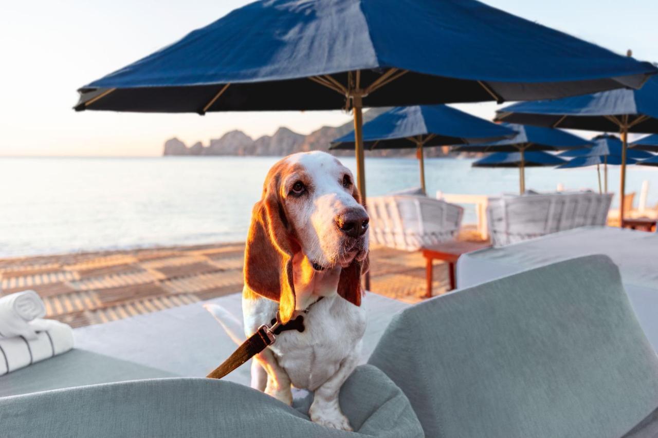 Resort Cabo And 4*